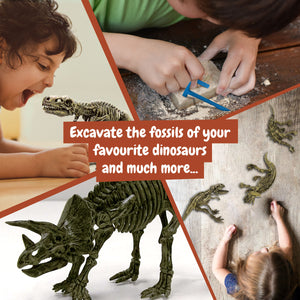 Dinosaur Fossil Excavation 3-in-1