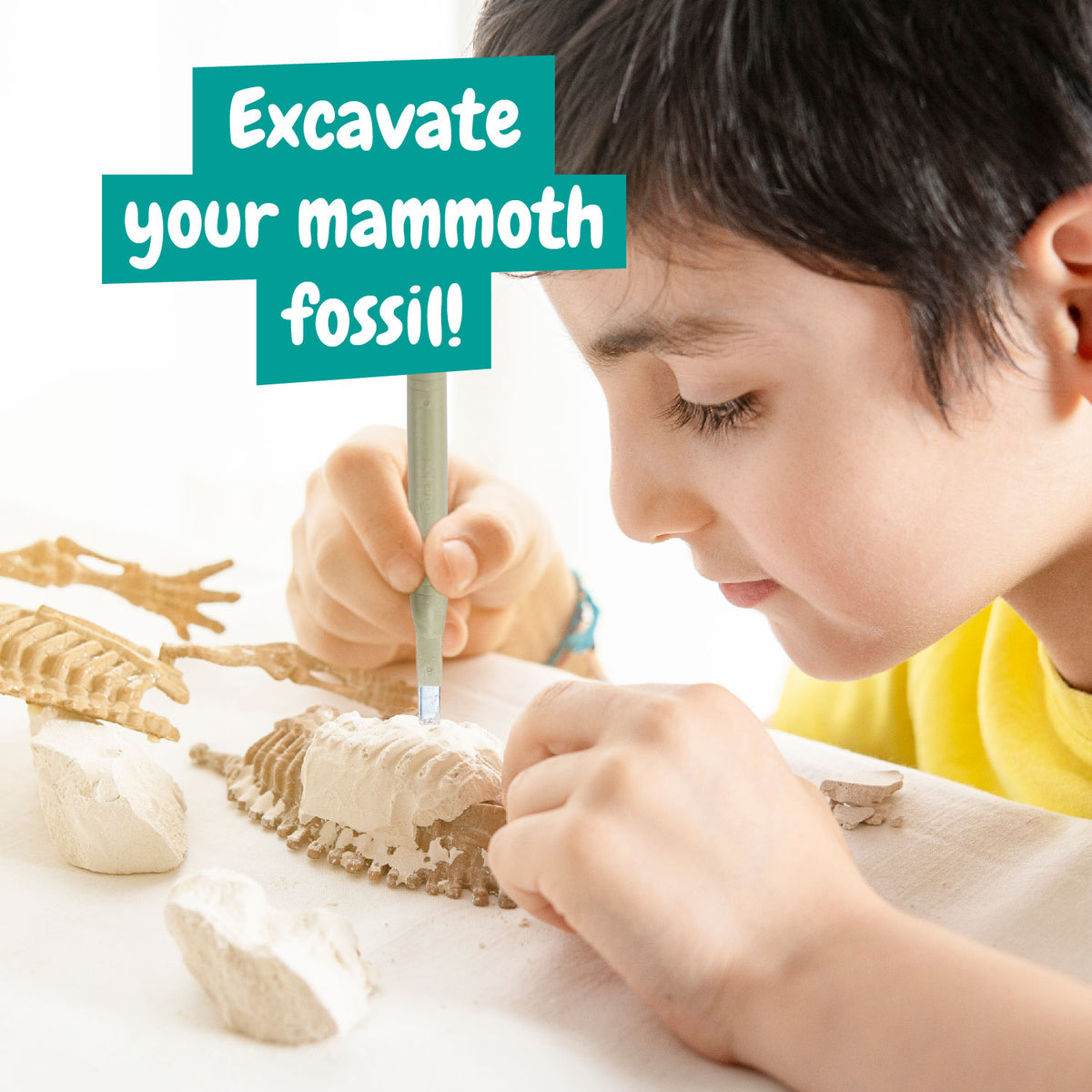 Mammoth Fossil Hunting Kit for Kids