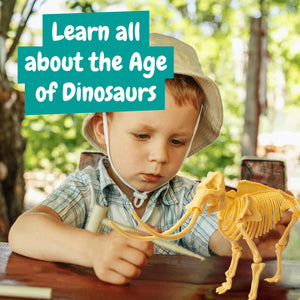 Mammoth Fossil Hunting Kit for Kids