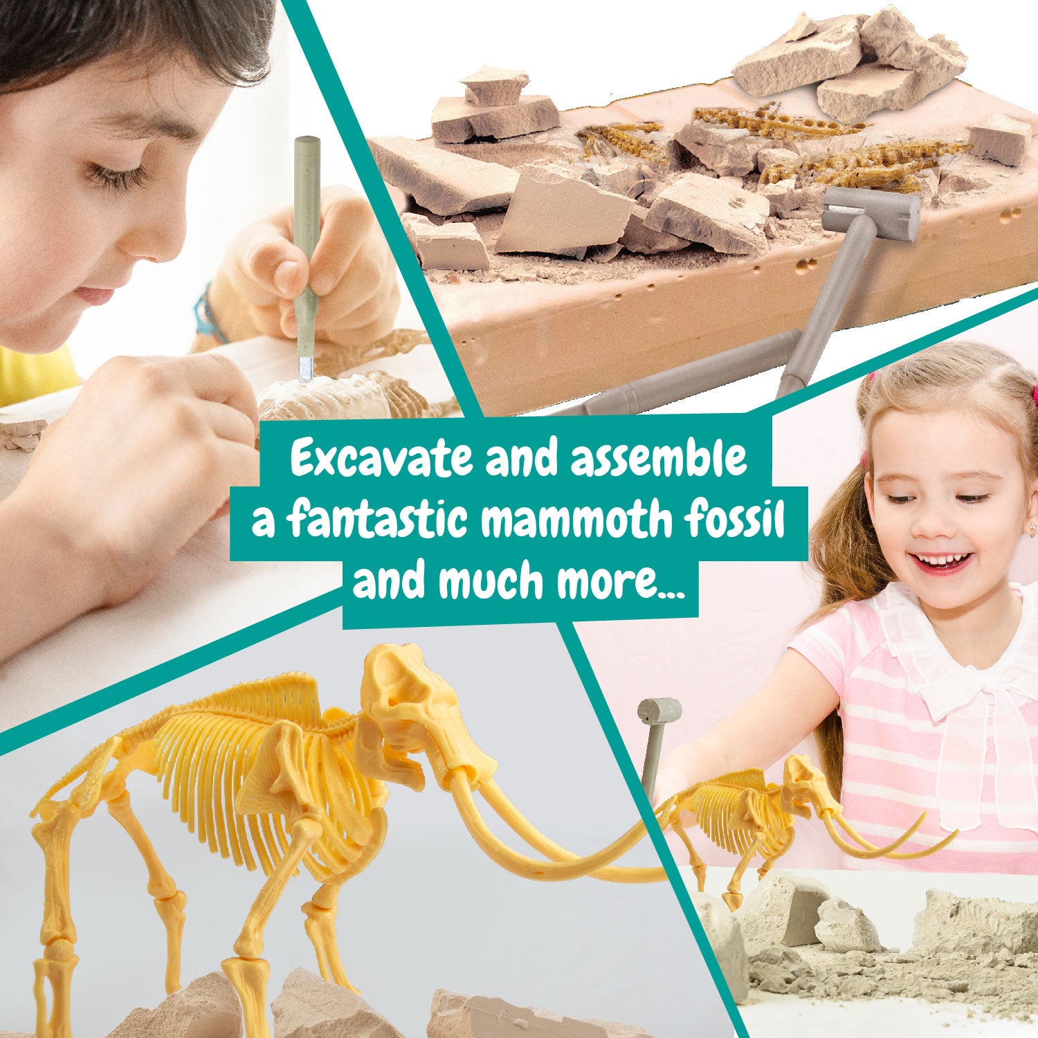 Mammoth Fossil Hunting Kit for Kids