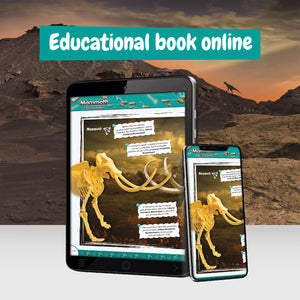 Mammoth Fossil Hunting Kit for Kids