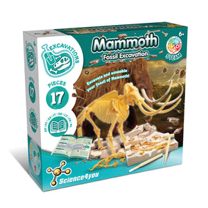 Mammoth Fossil Hunting Kit for Kids