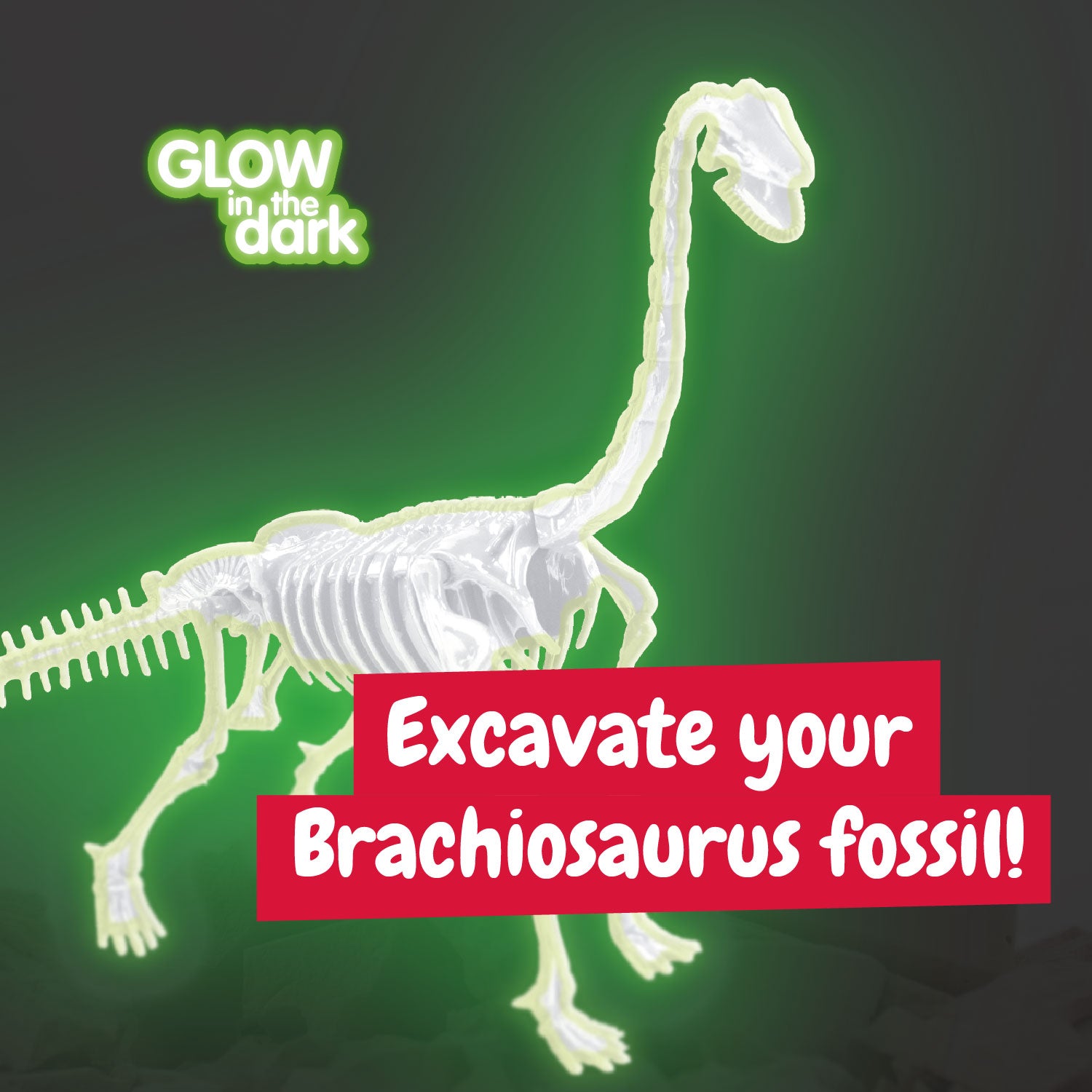 Science4you Brachiosaurus Fossil Digging Kit for Kids Ages 6 7 8+