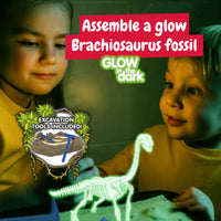 Science4you Brachiosaurus Fossil Digging Kit for Kids Ages 6 7 8+