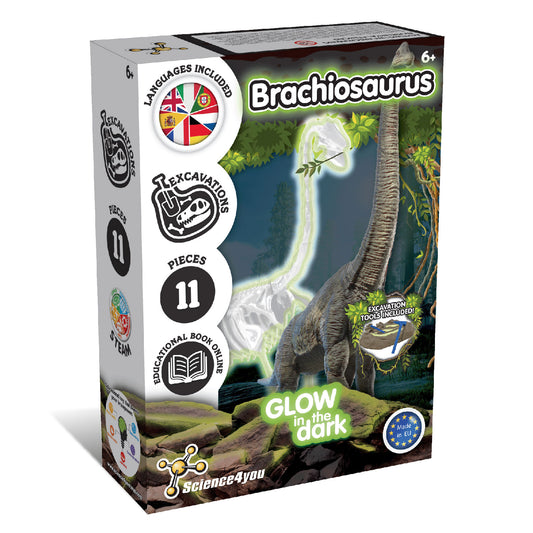 Science4you Brachiosaurus Fossil Digging Kit for Kids Ages 6 7 8+