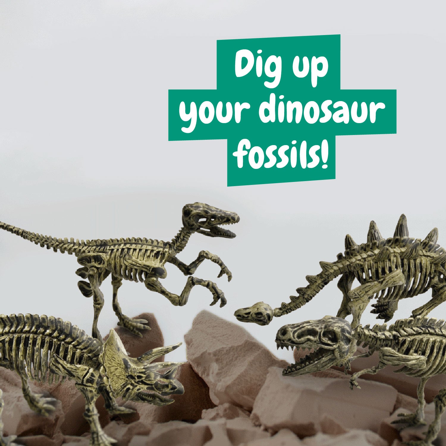 Dinosaur Fossil Excavation Kit 4-in-1
