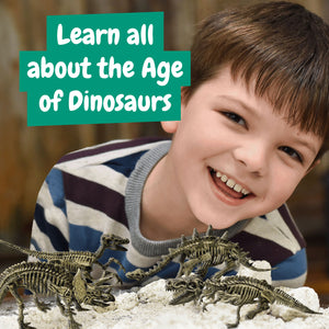 Dinosaur Fossil Excavation Kit 4-in-1