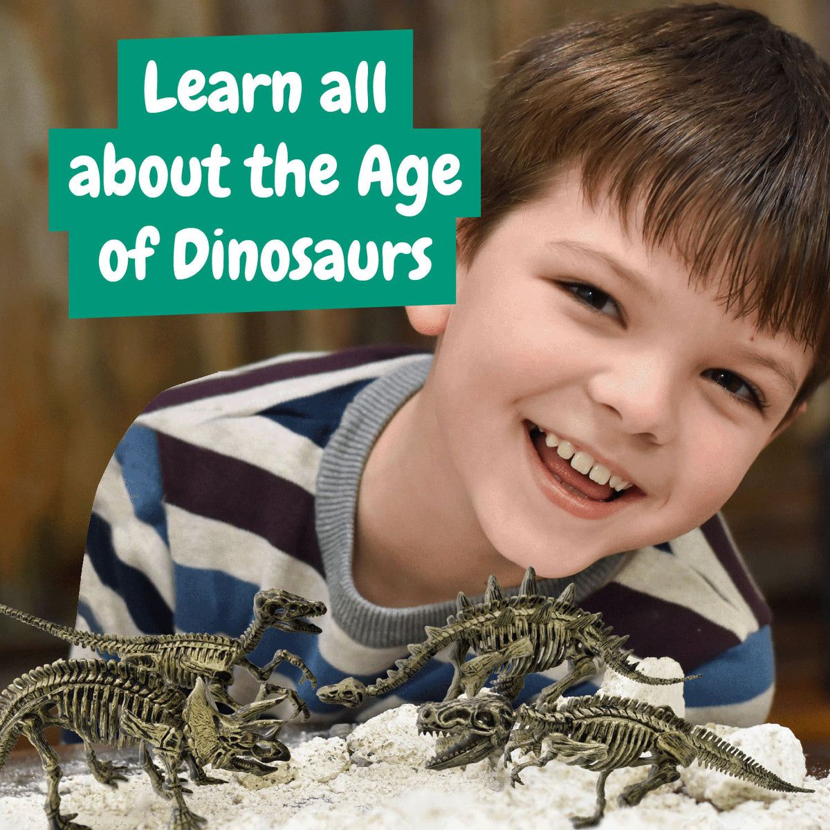 Dinosaur Fossil Excavation Kit 4-in-1