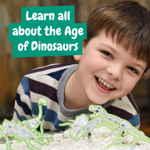 Dinosaur Fossil Excavation Kit 4-in-1