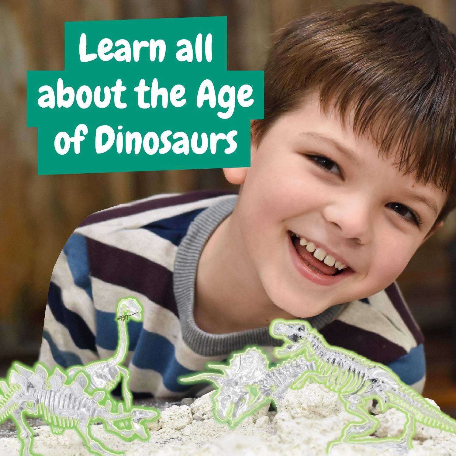 Dinosaur Fossil Excavation Kit 4-in-1
