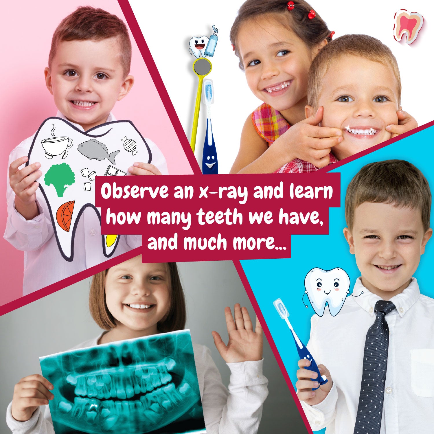 Science4you Dentist Kit for Kids Ages 5+