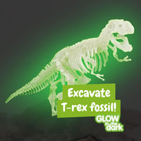 Science4you T-Rex Fossil Digging Kit for Kids Ages 6 7 8