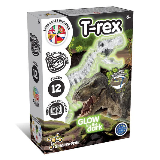 Science4you T-Rex Fossil Digging Kit for Kids Ages 6 7 8