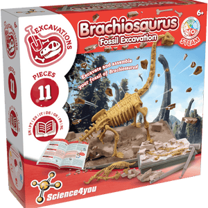 Brachiosaurus Fossil Digging Kit for Kids 6 7 8