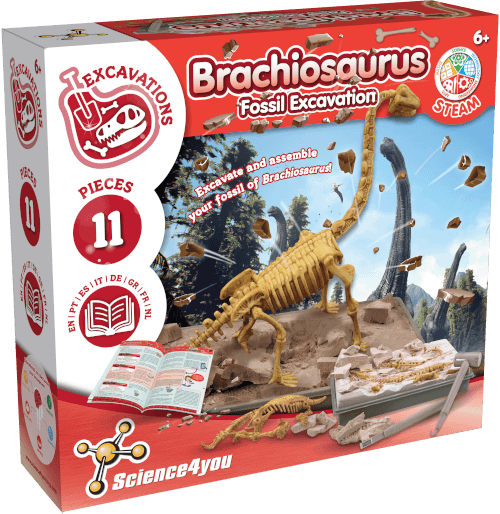 Brachiosaurus Fossil Digging Kit for Kids 6 7 8