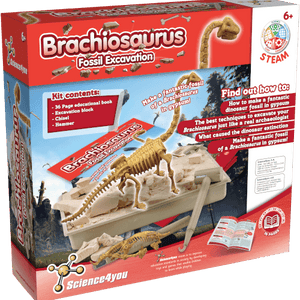 Brachiosaurus Fossil Digging Kit for Kids 6 7 8