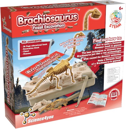 Brachiosaurus Fossil Digging Kit for Kids 6 7 8